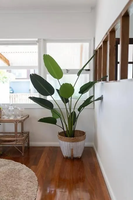 Boho Beach Lux Burleigh Beach Gold Coast